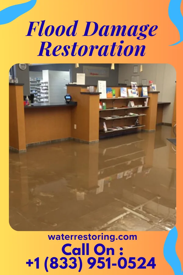 Flood Damage Restoration in Prospect, LA