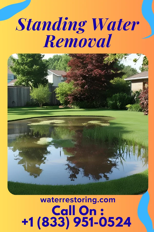 Standing Water Removal in Prospect, LA